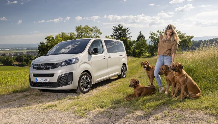 Opel Zafira e-Life: il veicolo perfetto per gli amici a quattro zampe - Foto 2 di 7