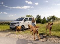 Opel Zafira e-Life: il veicolo perfetto per gli amici a quattro zampe