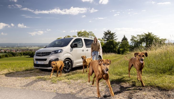 Opel Zafira e-Life: il veicolo perfetto per gli amici a quattro zampe - Foto 1 di 7