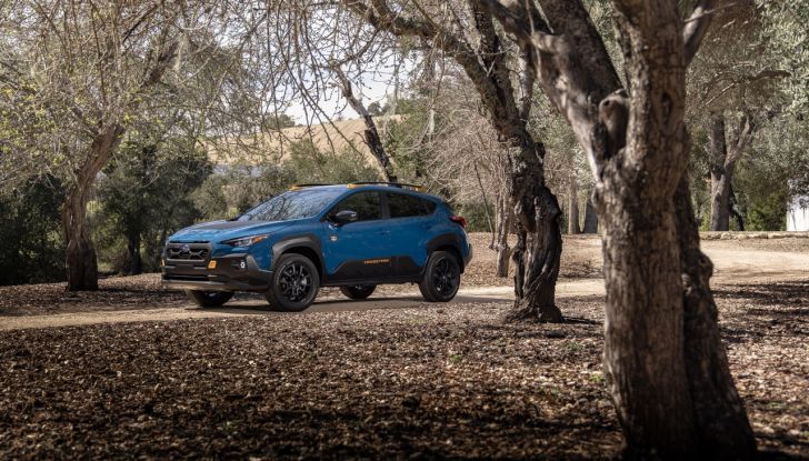 Subaru Crosstrek Wilderness: il crossover compatto diventa un fuoristrada - Foto 29 di 30