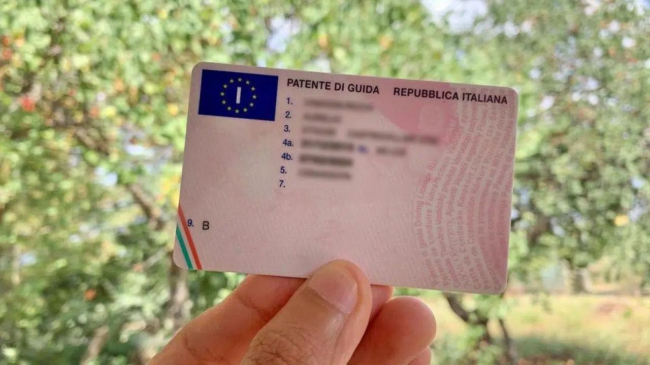 Patente D autobus