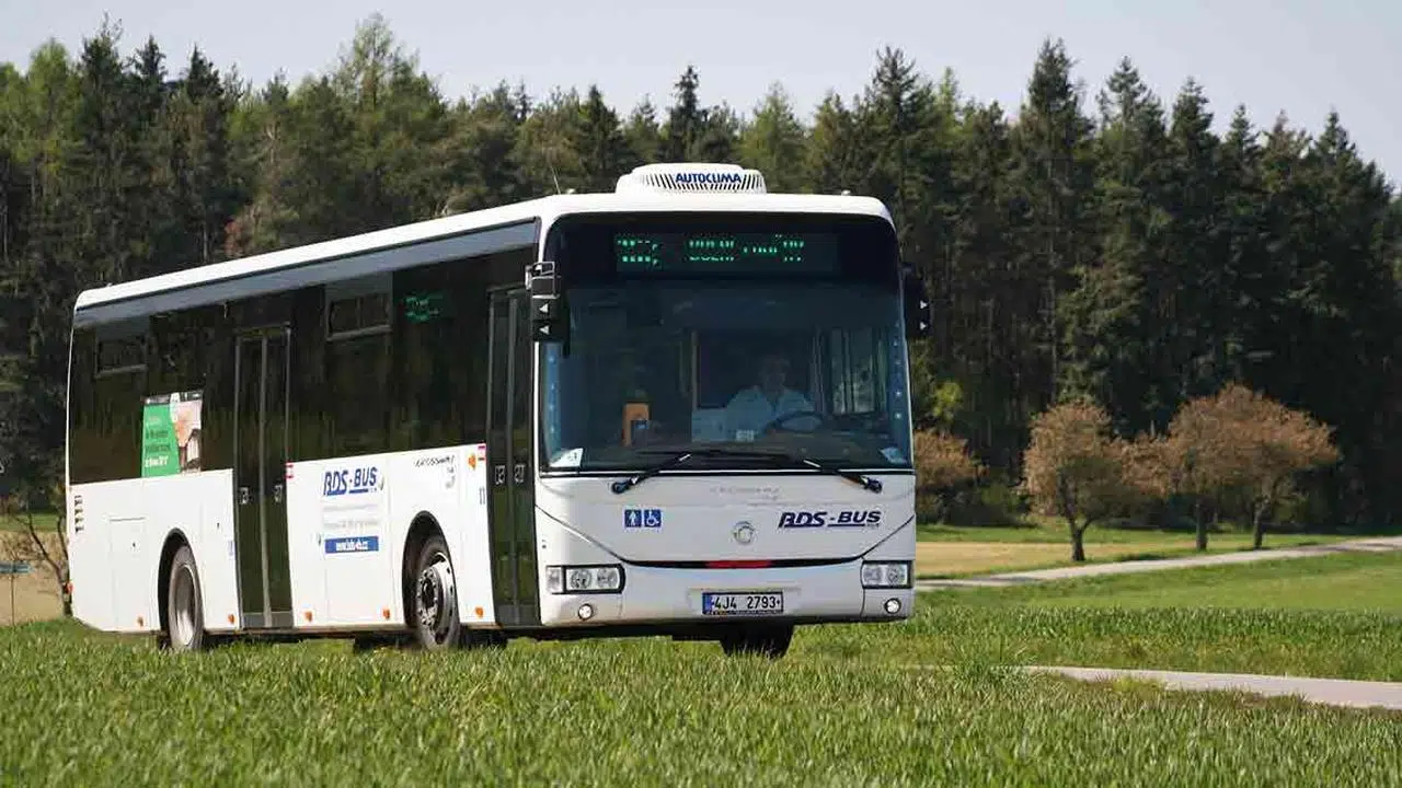 Patente D autobus