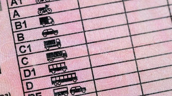 Ritiro patente: quando scatta, quanto dura la sospensione e come recuperare il documento