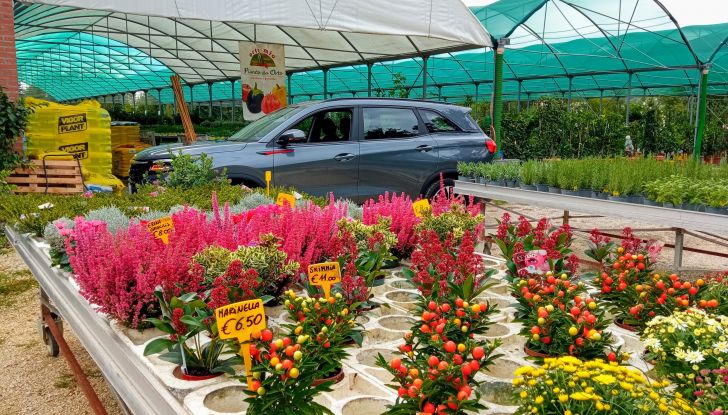 DFSK E5 PHEV e DFSK Glory 600 test drive, prezzi e impressioni di guida - Foto 21 di 30