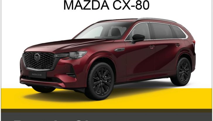 Euro NCAP auto Best in Class 2024