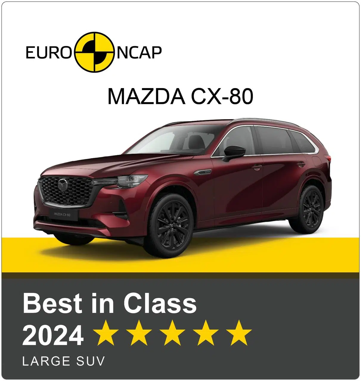 Euro NCAP auto Best in Class 2024