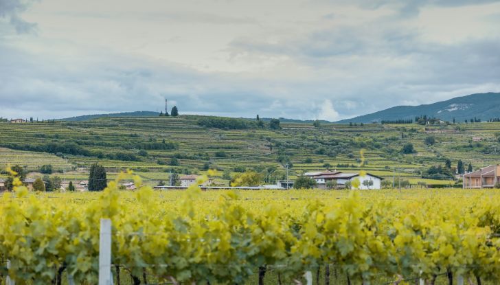 Gamma Cupra e-HYBRID: più autonomia, prestazioni e tecnologia - Foto 30 di 63