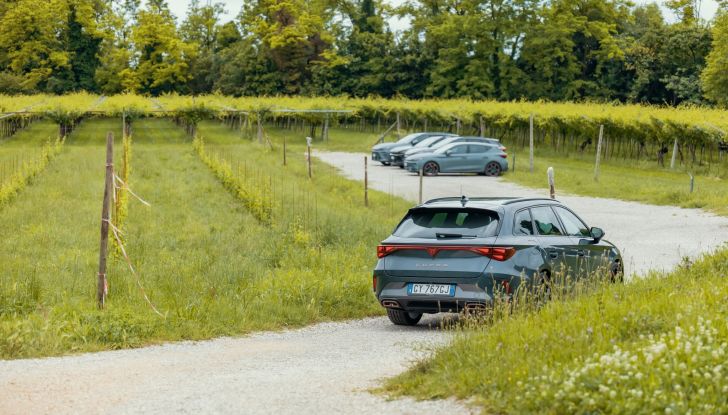 Gamma Cupra e-HYBRID: più autonomia, prestazioni e tecnologia - Foto 5 di 63