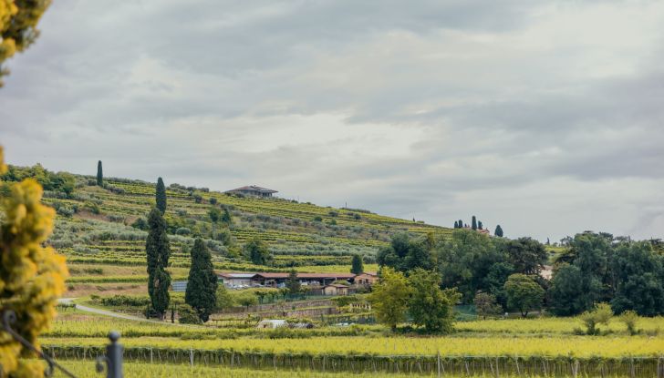 Gamma Cupra e-HYBRID: più autonomia, prestazioni e tecnologia - Foto 9 di 63