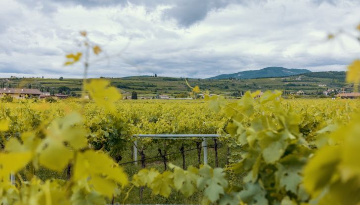 Gamma Cupra e-HYBRID: più autonomia, prestazioni e tecnologia - Foto 35 di 63