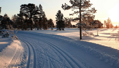 Spazi di frenata invernali aumentano fino a 7 metri con ammortizzatori usurati