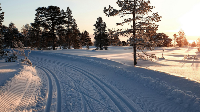 Spazi di frenata invernali aumentano fino a 7 metri con ammortizzatori usurati