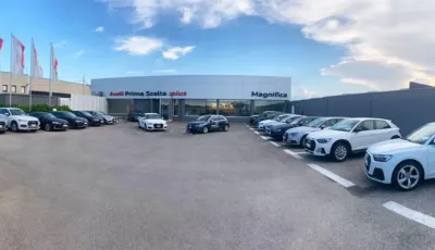 Gruppo Chiarito: la formula trasparente per scegliere l’auto ideale